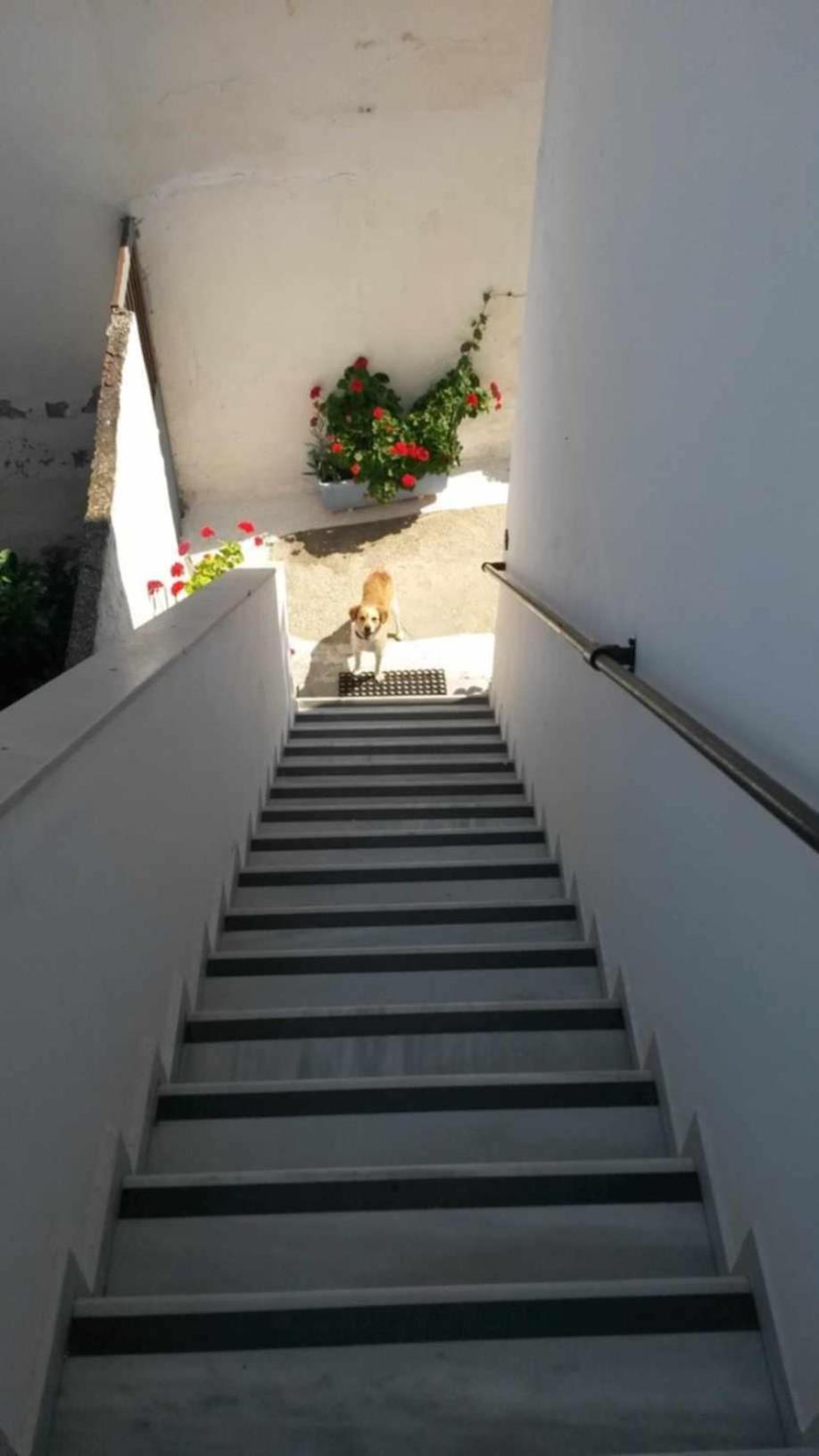 Kostas Studios Apartments - Ενοικιαζόμενα Δωμάτια Με Κουζινάκι Мирина Экстерьер фото